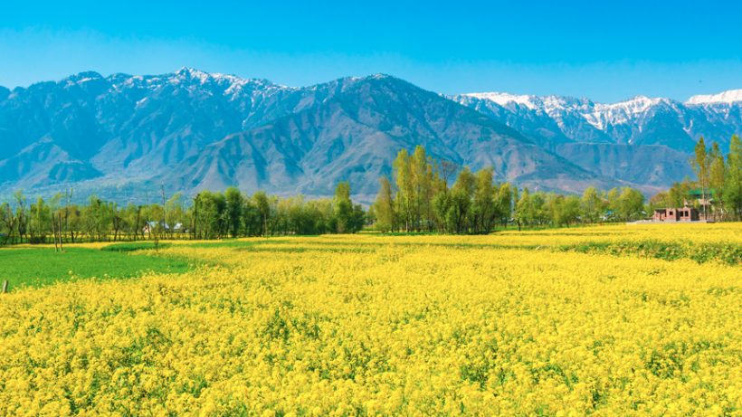 Glimpse of Kashmir Travel Maker